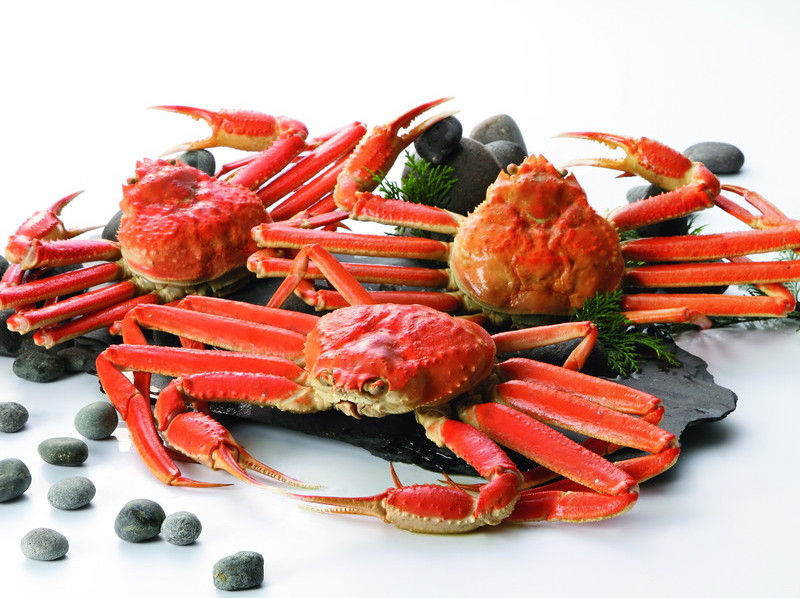 特選おせち ずわい蟹 姿2尾 1 2kg相当 E おせち 社割掲載用 食宅便 日清医療食品