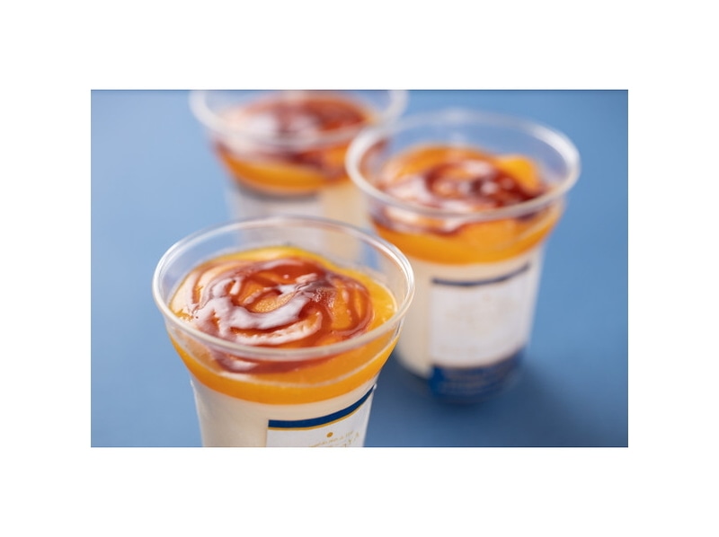 ＴＥＲＡＫＯＹＡ監修　濃厚マンゴープリン